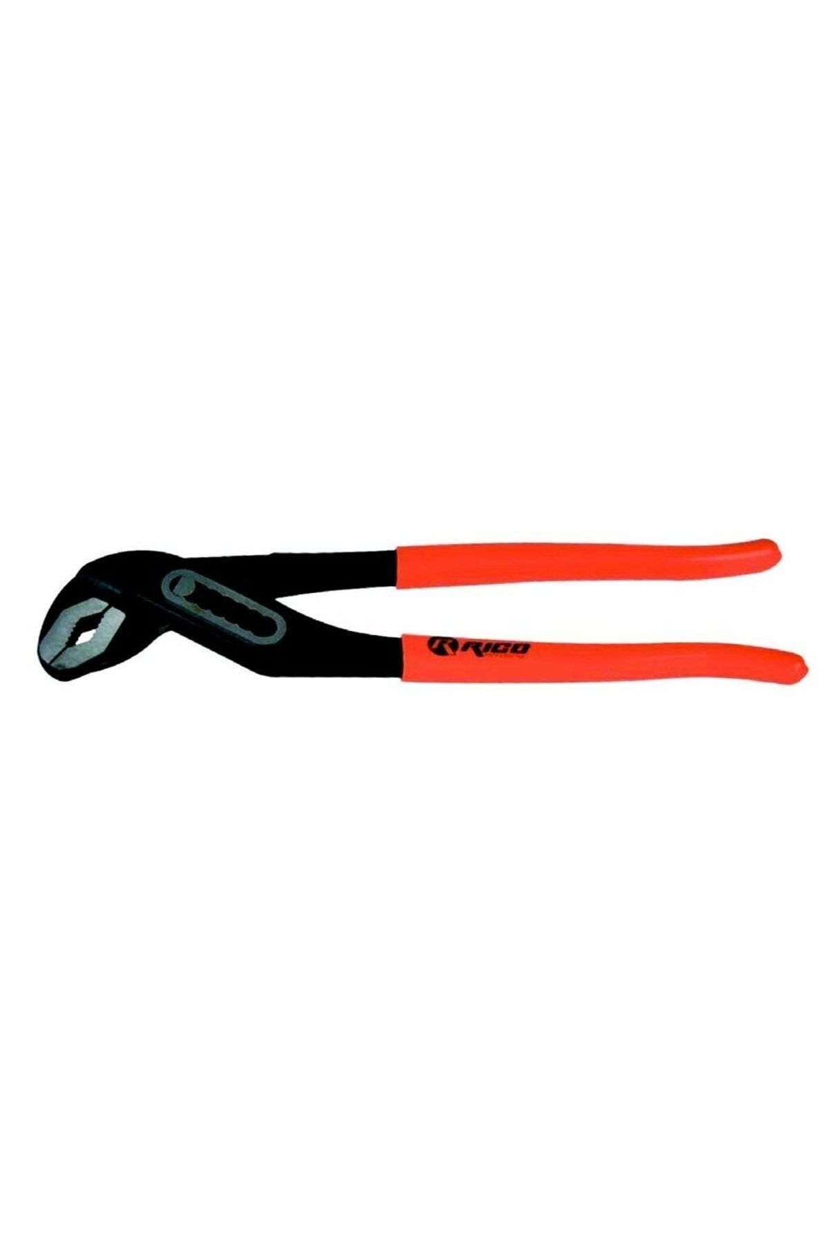 RİCO PAPAĞAN PENSE 10''