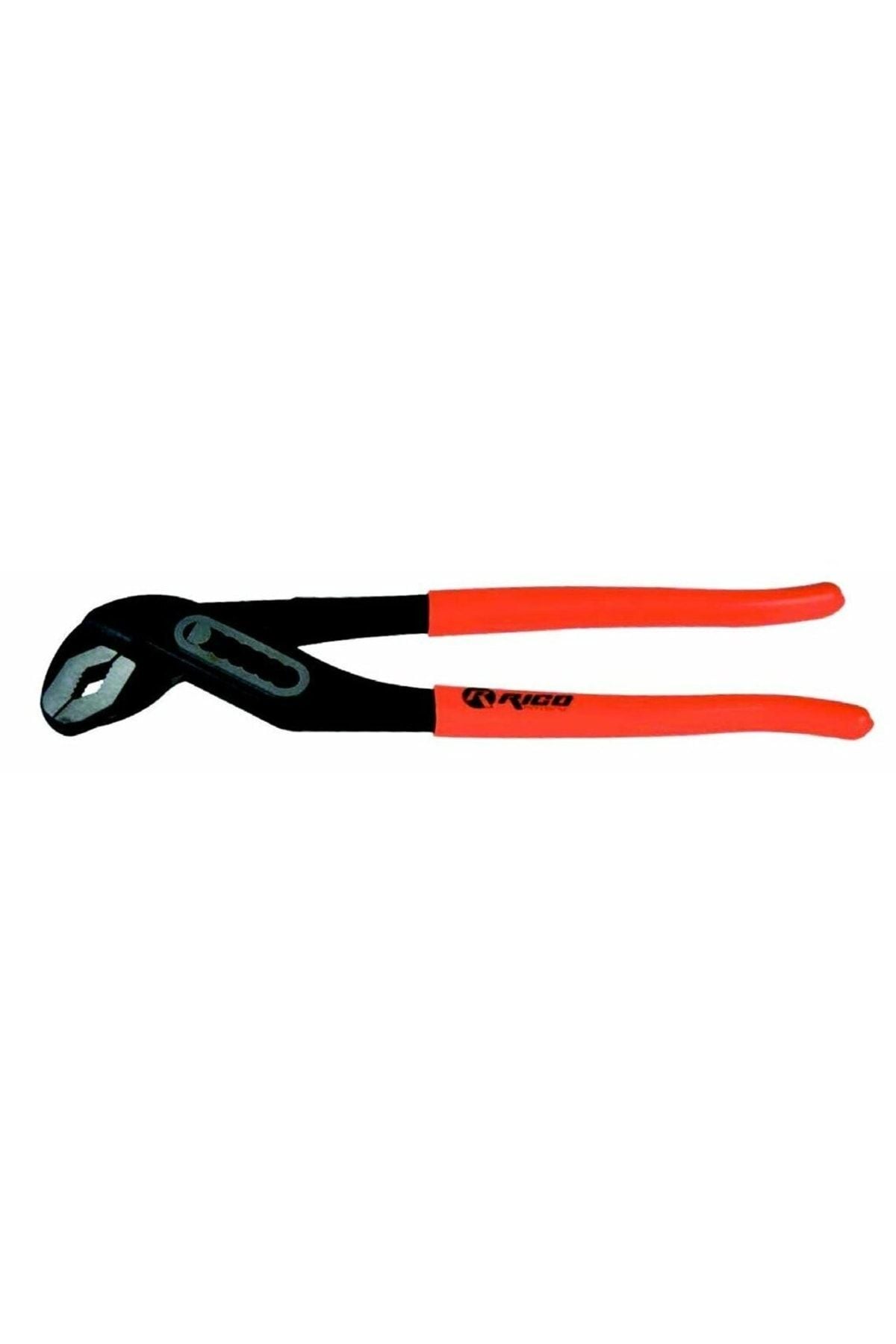 RİCO PAPAĞAN PENSE 10''