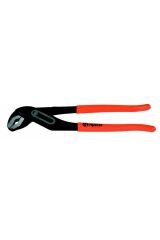 RİCO PAPAĞAN PENSE 10''