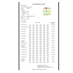 Grayzer LS236 Linshang Bluetooth'lu Boya Ölçüm Cihazı Demir Alüminyum Galvaniz Ölçer 5000 Um